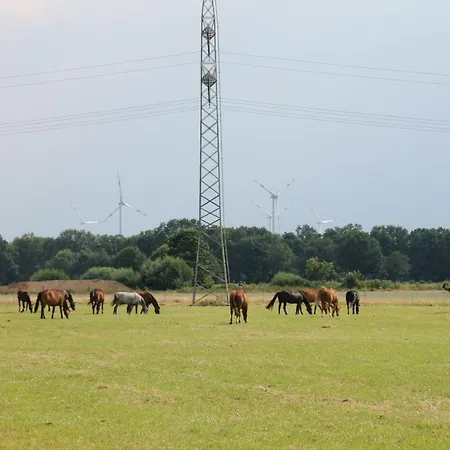 Am Apfelgarten בית אירוח שווארמשטדט