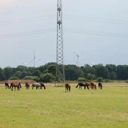 Am Apfelgarten Privatunterkunft Schwarmstedt