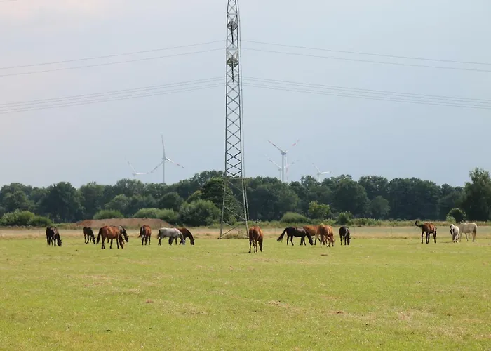 Am Apfelgarten Accommodatie bij particulieren Schwarmstedt